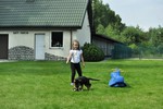 Satysfakcja FCI, hodowla Owczarków Niemieckich, Owczarki Niemieckie