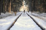 Satysfakcja FCI, hodowla Owczarków Niemieckich, Owczarki Niemieckie