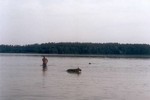 Satysfakcja FCI, hodowla Owczarków Niemieckich, Owczarki Niemieckie
