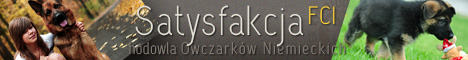 Satysfakcja FCI, hodowla Owczarków Niemieckich, Owczarki Niemieckie