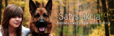 Satysfakcja FCI, hodowla Owczarków Niemieckich, Owczarki Niemieckie